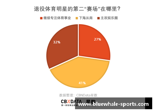 聚焦网暴事件 体育明星的心路历程与应对策略分析